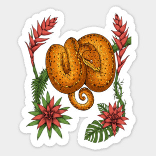 Amazon Tree Boa with Tropical Bromeliads Magnet