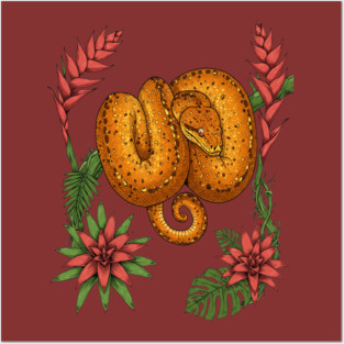 Amazon Tree Boa with Tropical Bromeliads Posters and Art