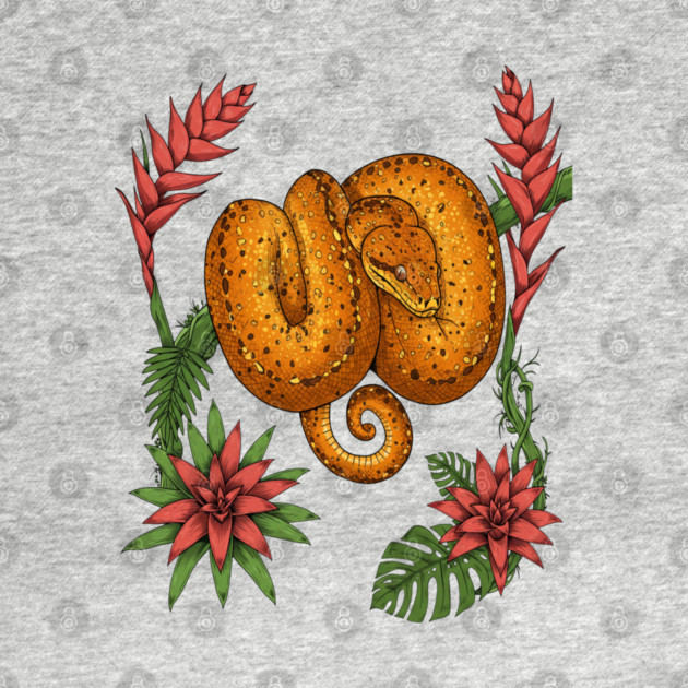 Amazon Tree Boa with Tropical Bromeliads by BirdsnStuff