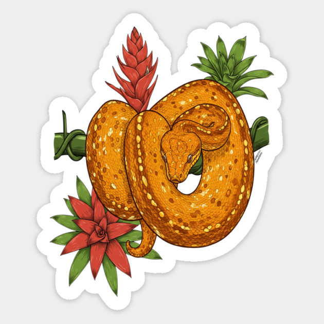 Amazon Tree Boa Tropical Magnet by BirdsnStuff