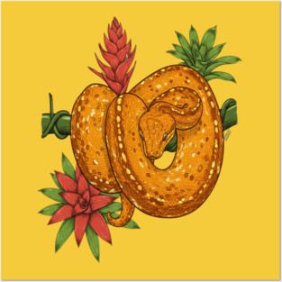 Amazon Tree Boa Tropical Posters and Art