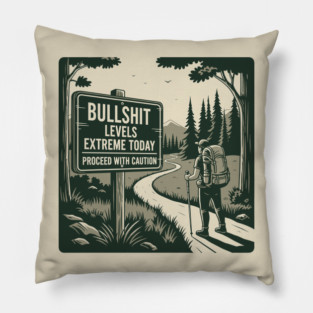 Bullshit levels extreme today Pillow