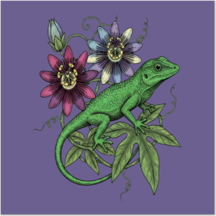 Anole Lizard and Passionflower Posters and Art