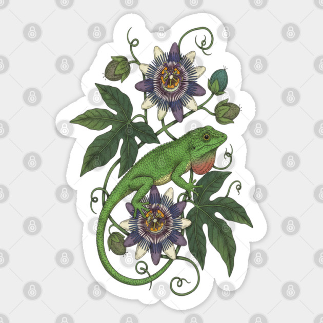 Anole Lizard with Passionflower Vines Sticker by BirdsnStuff