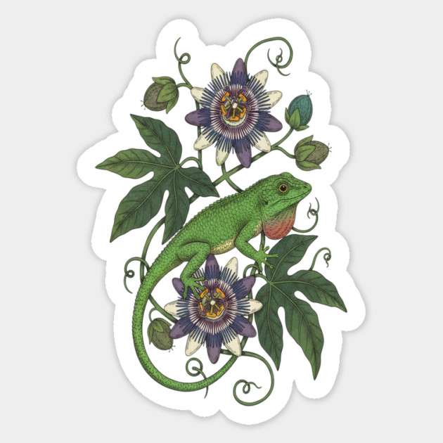 Anole Lizard with Passionflower Vines Magnet by BirdsnStuff