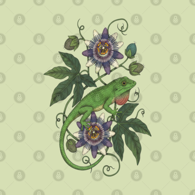 Anole Lizard with Passionflower Vines by BirdsnStuff