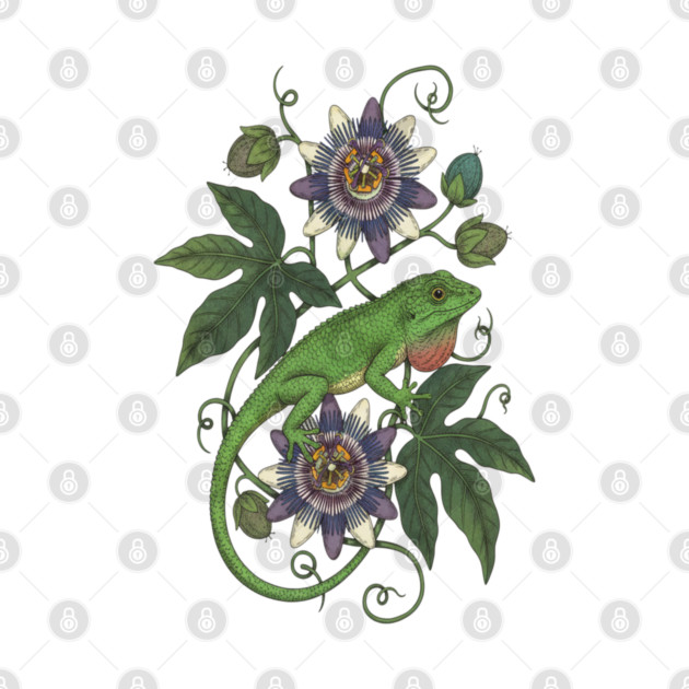 Anole Lizard with Passionflower Vines by BirdsnStuff