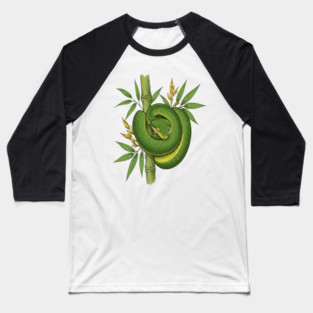 Bamboo Pit Viper Jungle Illustration Baseball T-Shirt