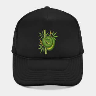 Bamboo Pit Viper Jungle Illustration Hat