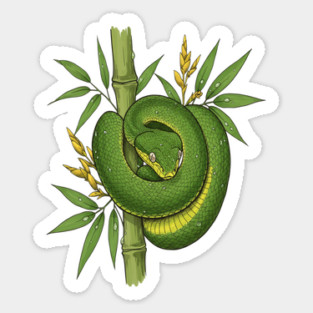 Bamboo Pit Viper Jungle Illustration Sticker