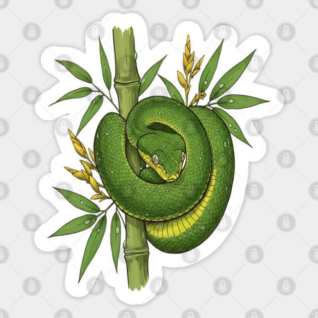 Bamboo Pit Viper Jungle Illustration Sticker by BirdsnStuff