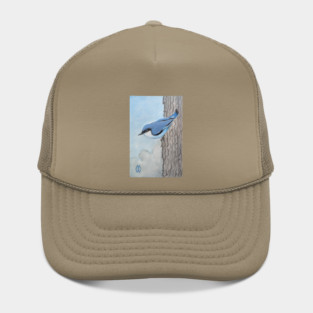 Pygmy nuthatch climbing a tree Hat