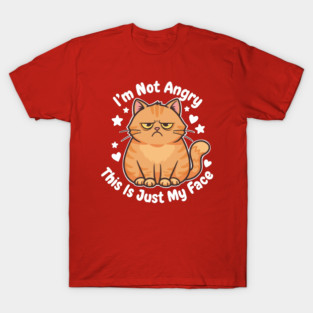 Im not angry this is just my face T-Shirt