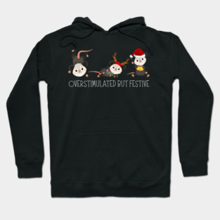 Funny-Christmas Hoodie