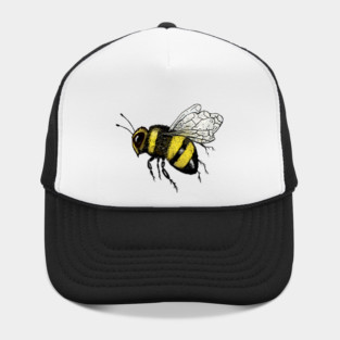 Bumble Bee Flying Illustration Hat