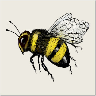 Bumble Bee Flying Illustration Posters and Art