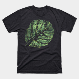 Leaf / Alder - Print T-Shirt