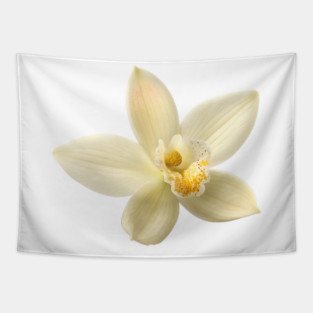 Elegant Vanilla Orchid Flower  Close-up of Vanilla Blossom Tapestry