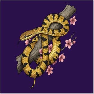 Vintage Beauty Rat Snake Botanical Art Posters and Art