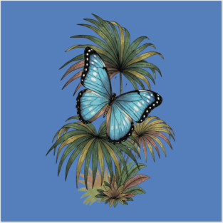 Tropical Blue Morpho Butterfly Botanical Art Posters and Art