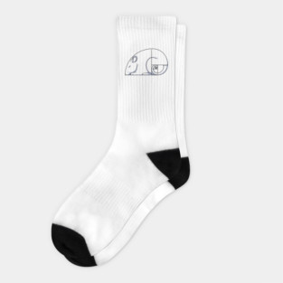 Golden Ratio Socks