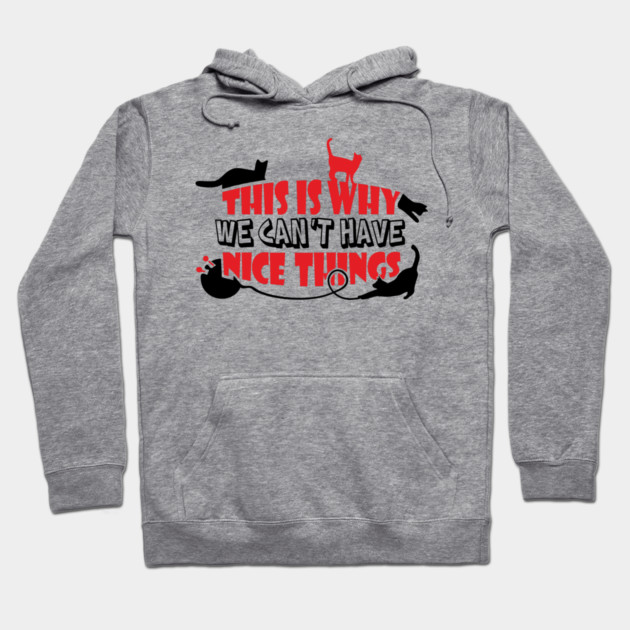 This Is Why We Can't Have Nice Things Naughty Cats Hoodie by Anticorporati