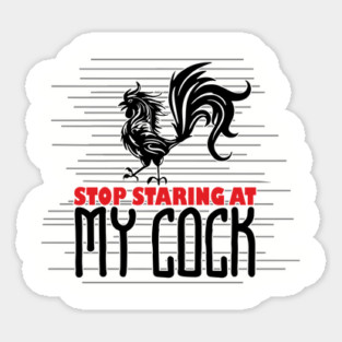 Strop Staring At My Cock Offensive Adult Humor Magnet