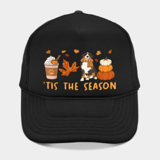 Tis the season, bernese mountain dog, fall pumpkin coffee Hat