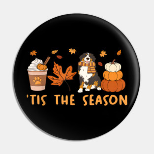 Tis the season, bernese mountain dog, fall pumpkin coffee Pin