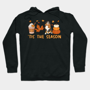 Tis the season, bernese mountain dog, fall pumpkin coffee Hoodie
