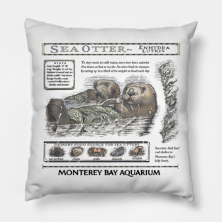 Sea Otters Monterey Bay Aquarium Pillow