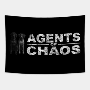 Agents of Chaos Tapestry