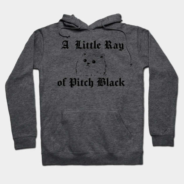 Snarky Cat A Little Ray of Pitch Black Sarcastic Design Hoodie by Luxinda