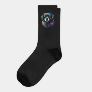 Tibetan Spaniel Socks