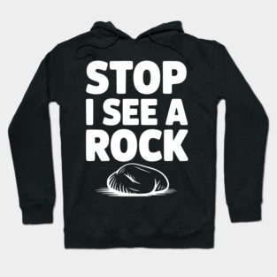 Stop I See a Rock Hoodie