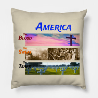 Blood Sweat and Tears Pillow