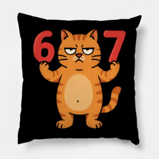 Grumpy Cat 67 – Sarcastic 67th Birthday Meme Pillow