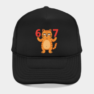Grumpy Cat 67 – Sarcastic 67th Birthday Meme Hat