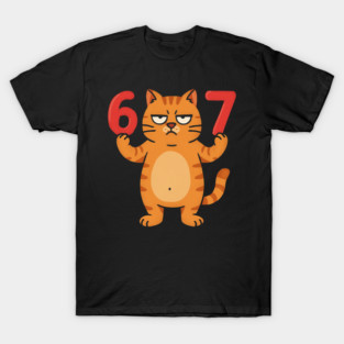 Grumpy Cat 67 – Sarcastic 67th Birthday Meme T-Shirt