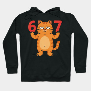 Grumpy Cat 67 – Sarcastic 67th Birthday Meme Hoodie