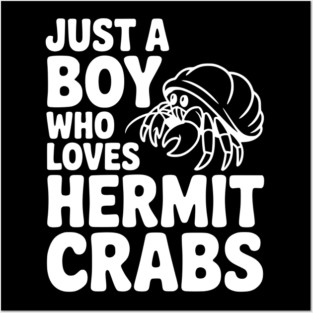 Just a Boy Who Loves Hermit Crabs Posters and Art