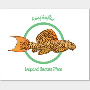 Leopard Cactus Pleco Posters and Art