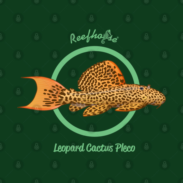 Leopard Cactus Pleco by Reefhorse
