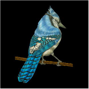 Bluebird Posters and Art