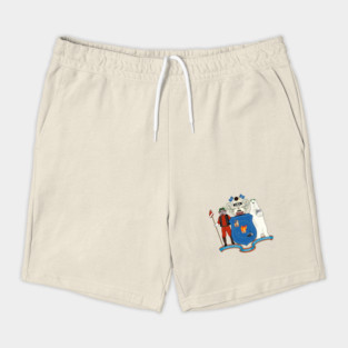 25-Hour Holiday Radio Show state flag shirt (no text) Shorts