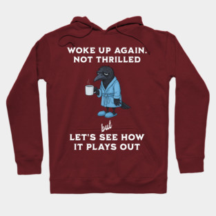 Crow: Woke Up Again. Not Thrilled but Let's See How It Plays Out Hoodie