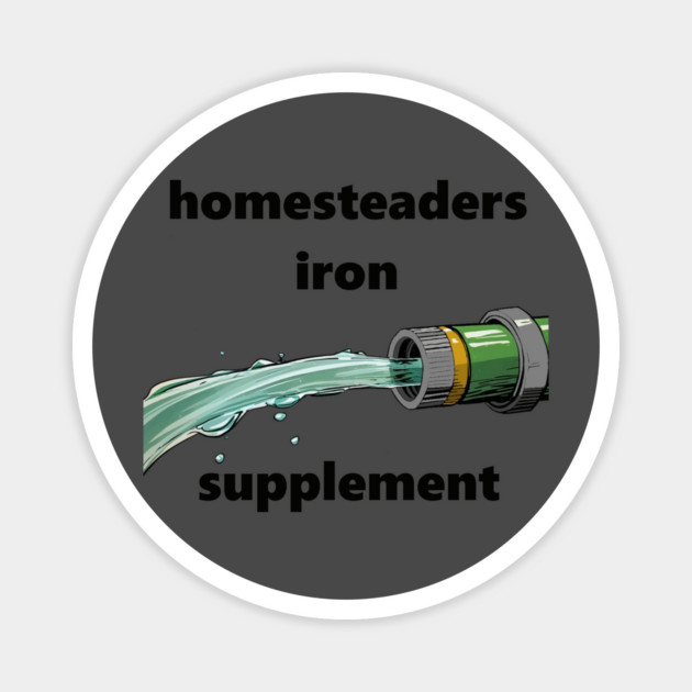 Iron Supplement Magnet by faithfamilyhomedesigns