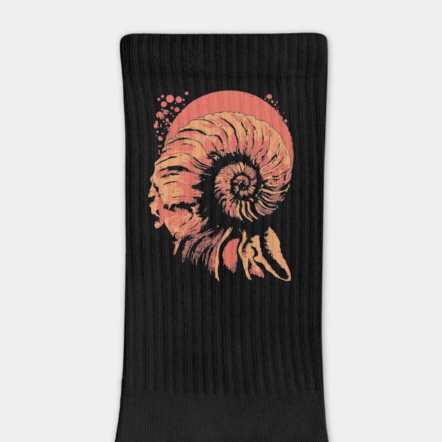 Geometric Nautilus Shell - Vintage Natural History Illustration by TuncGK