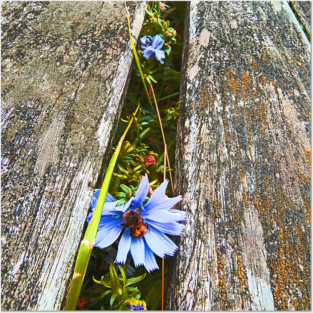 perseverance nature Posters and Art