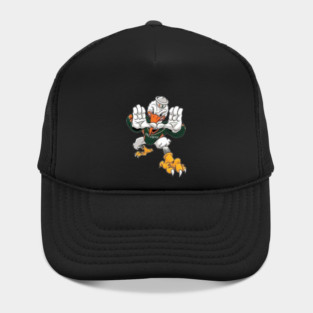 Miami Hurricanes Hat